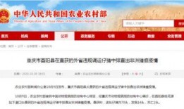 枫丹生物爆料最新消息新闻,揭秘行业前沿动态与突破性进展